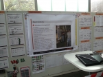20130921_113241.jpg
