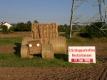 Schleppertreffen_2009_Neckarhausen_3.JPG