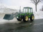 Holder im Schnee 018.JPG