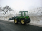 Holder im Schnee 020.JPG