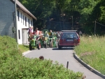 Dateiname : Holder kommen aus dem Wald.JPG
Dateigröße : 312KB
Abmessungen : 1024x768
hinzugefügt am : 20.05.2010 19:21 Holder kommen aus dem Wald.JPG