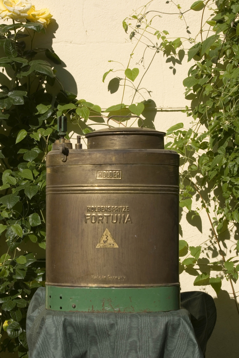 Klicken für Bild in voller Größe