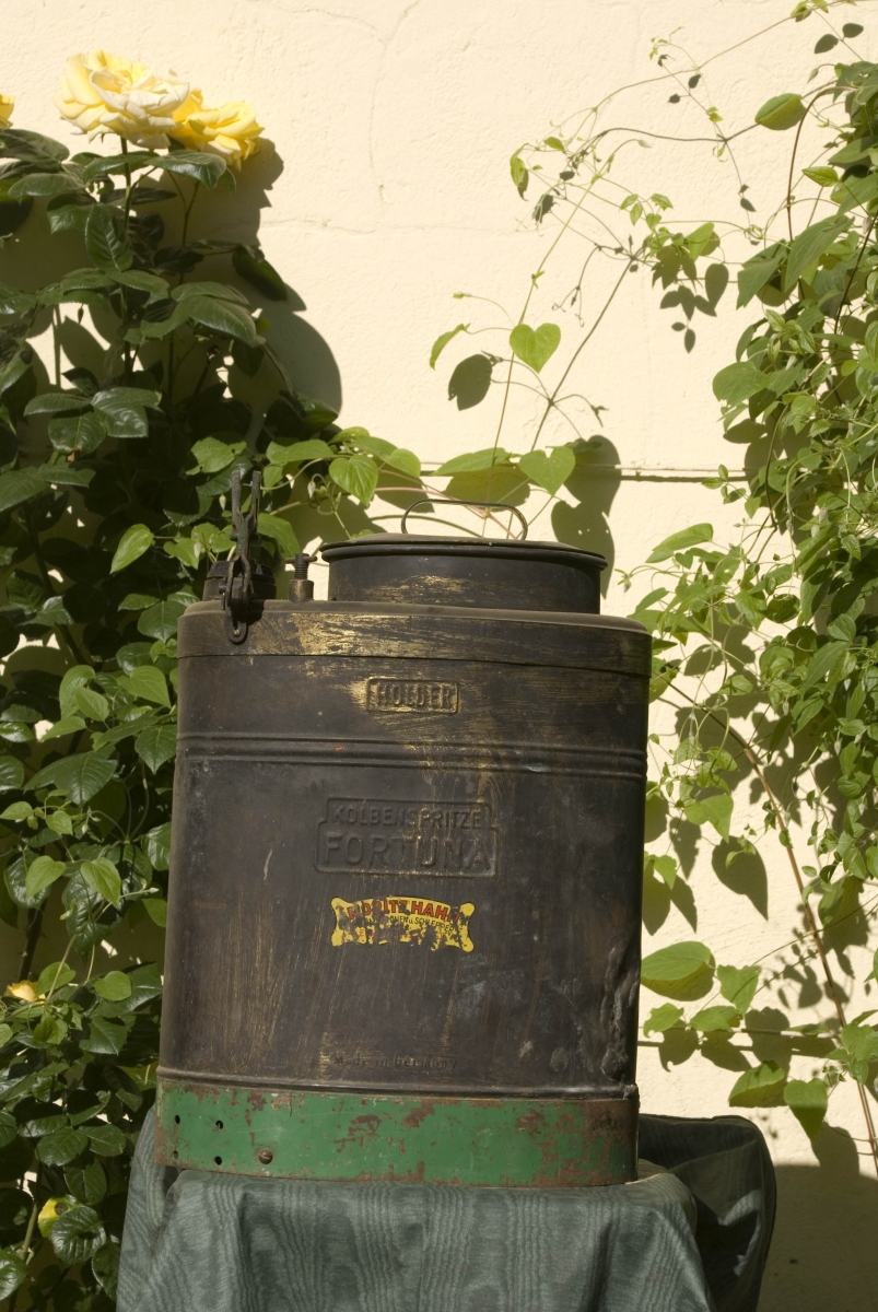 Klicken für Bild in voller Größe