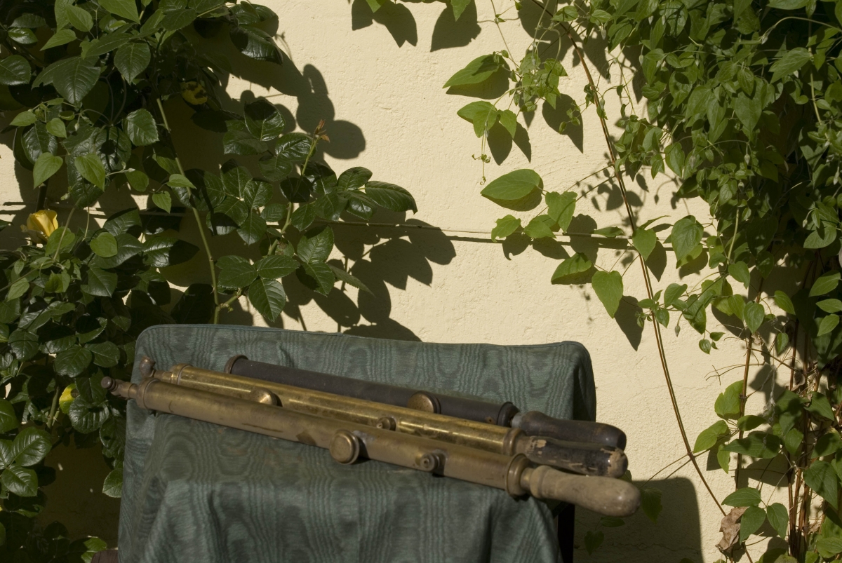 Klicken für Bild in voller Größe