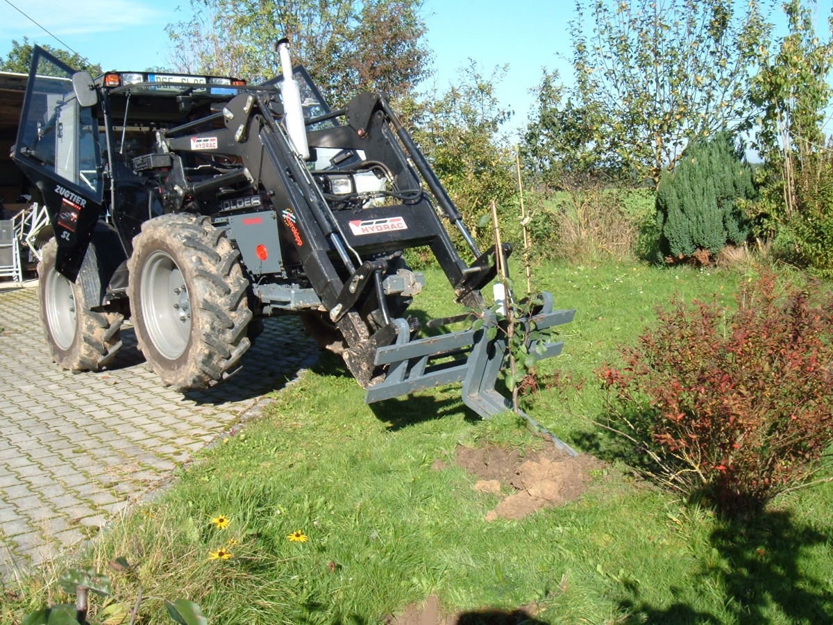 Klicken für Bild in voller Größe