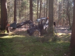 Dateiname : Forstarbeit_04-2014_Holder A 8.72 C H9.JPG
Dateigröße : 754KB
Abmessungen : 2016x1512
hinzugefügt am : 17.04.2014 21:50 Forstarbeit_04-2014_Holder A 8.72 C H9.JPG