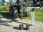 Dateiname : Obstbaumpflanzungen 10- 14 001.jpg
Dateigröße : 779KB
Abmessungen : 2016x1512
hinzugefügt am : 25.10.2014 10:41 Obstbaumpflanzungen 10- 14 001.jpg