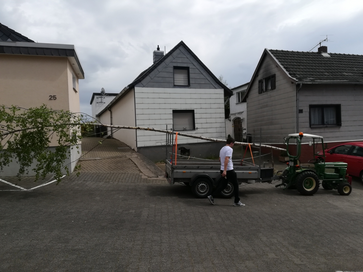 Klicken für Bild in voller Größe