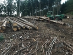 Dateiname : Holzücken Uli.jpg
Dateigröße : 1067KB
Abmessungen : 2016x1512
hinzugefügt am : 03.10.2020 20:41 Holzücken Uli.jpg