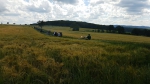 20190615_153223.jpg