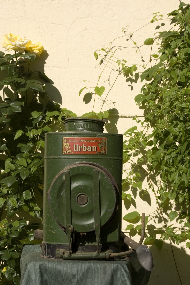 Klicken für Bild in voller Größe